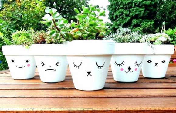 Where Can You Buy Flower Pots?