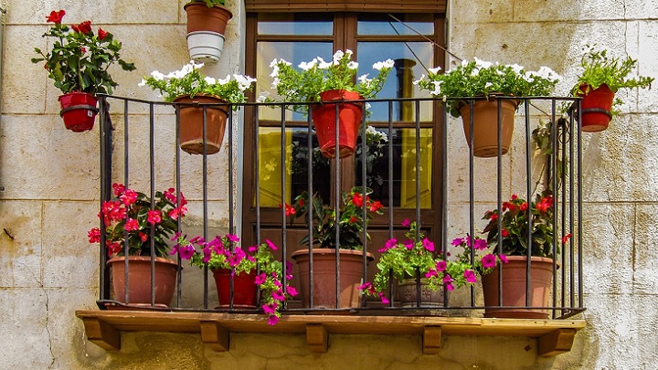  terrace in summer