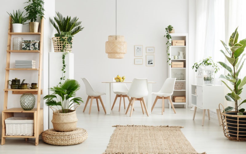 Decor Home With Plants