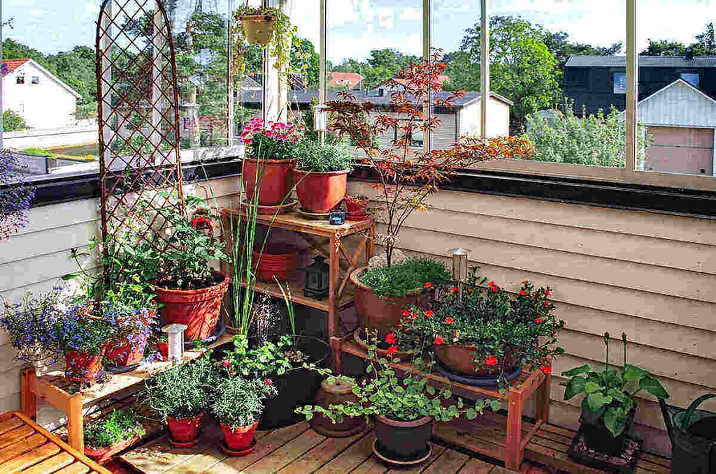 Winter Garden Balcony