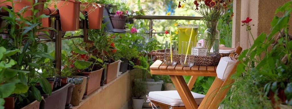  Make a Balcony Garden!