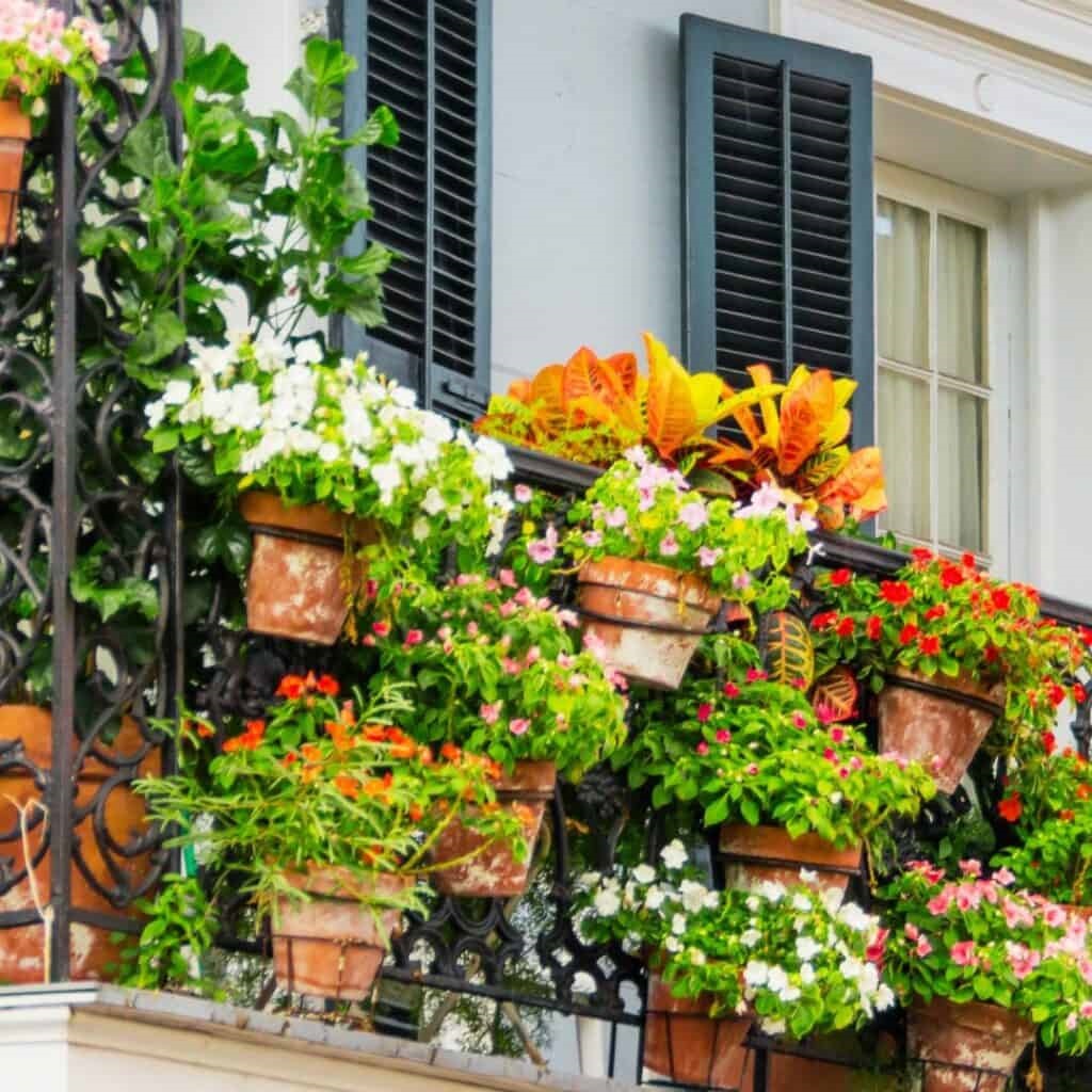 What is a Winter Garden Balcony: Transform Your Outdoor Space with a Stunning Twist