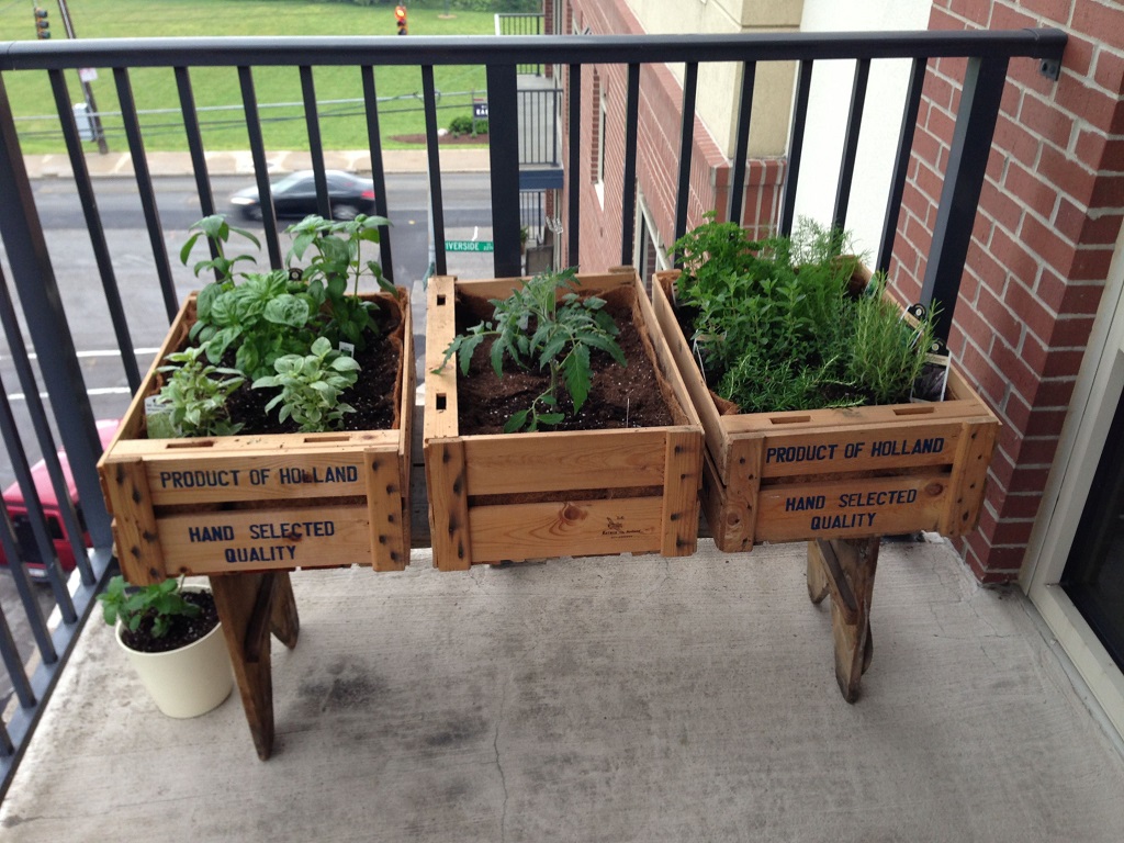 herb garden on your balcony