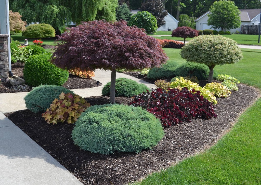 using boxwoods to frame your front door