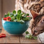 Can cats be vegan with supplements?