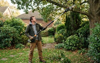 Homeowner using a cordless pole saw to trim high tree branches safely from the ground in a garden setting