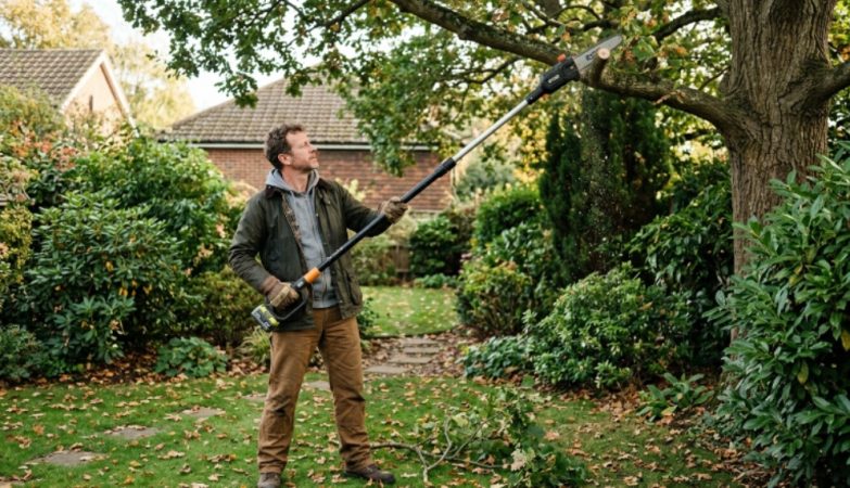 Homeowner using a cordless pole saw to trim high tree branches safely from the ground in a garden setting